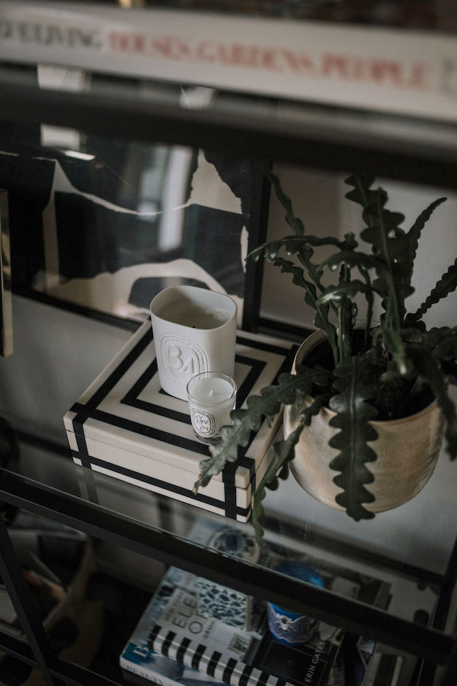 verzorgen van planten