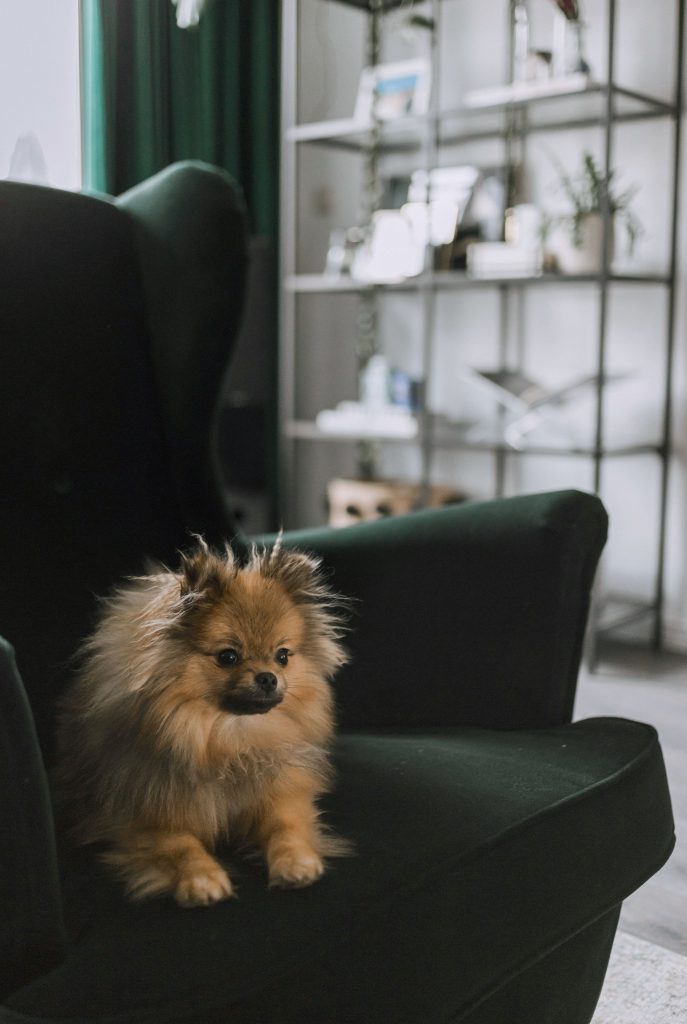 Ikea STRANDMON fauteuil