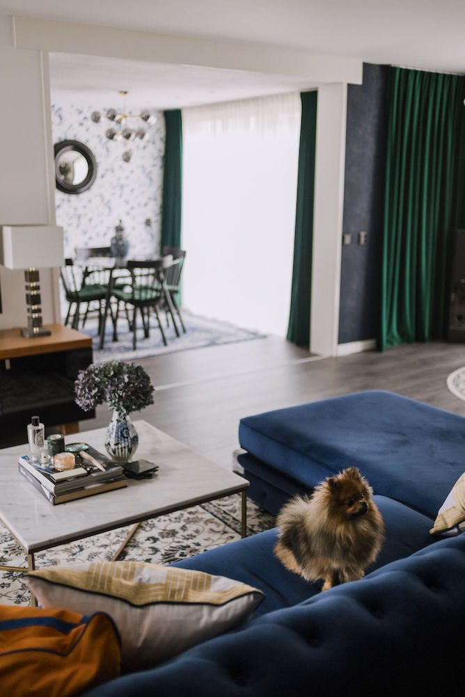 een pomeriaan in huis