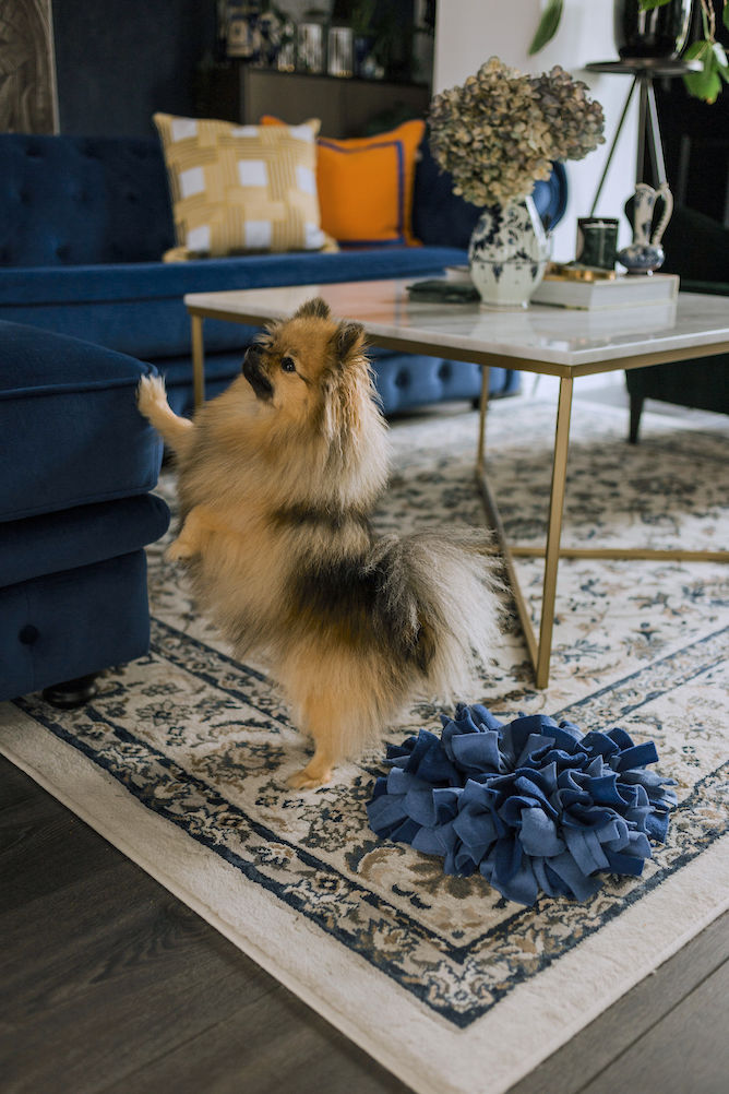 puppy speelgoed